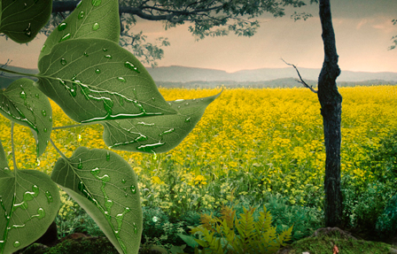 Plannja AS : Plannja GreenCoat