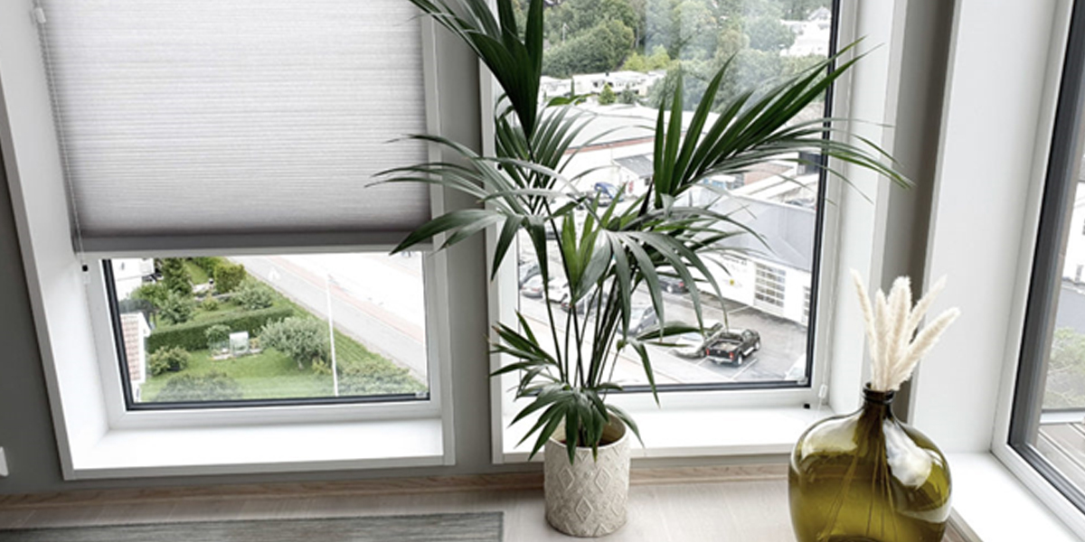 Alle auge fortener eit fint utsjåande – også vindauge