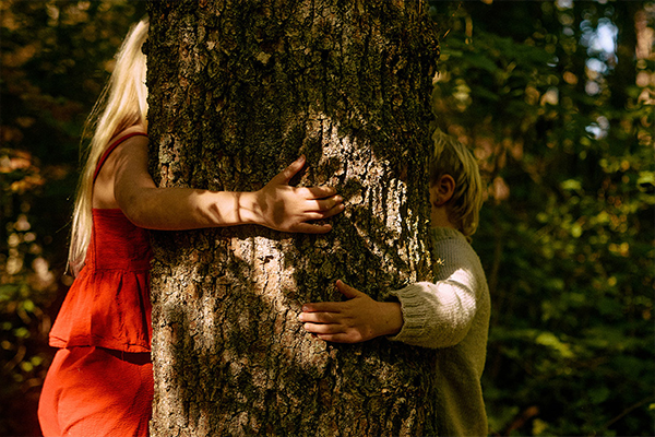 BOEN – Et ansvarlig valg for morgendagens bygg