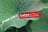 Lotusan®