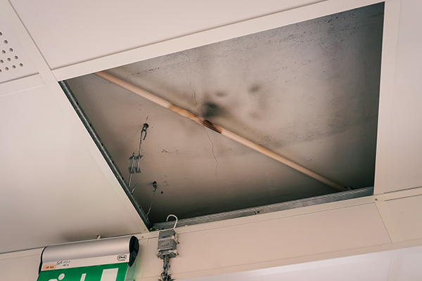 Styreleder begeistret for elbilladeren